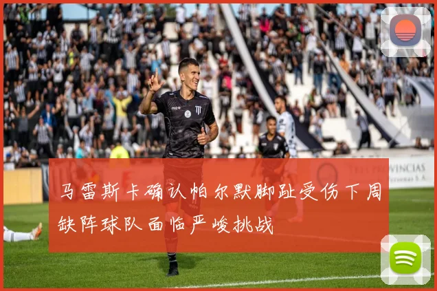 马雷斯卡确认帕尔默脚趾受伤下周缺阵球队面临严峻挑战