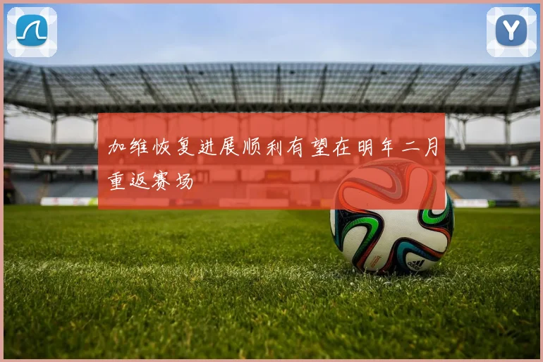 加维恢复进展顺利有望在明年二月重返赛场