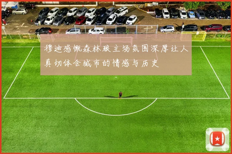 穆迪感慨森林狼主场氛围深厚让人真切体会城市的情感与历史